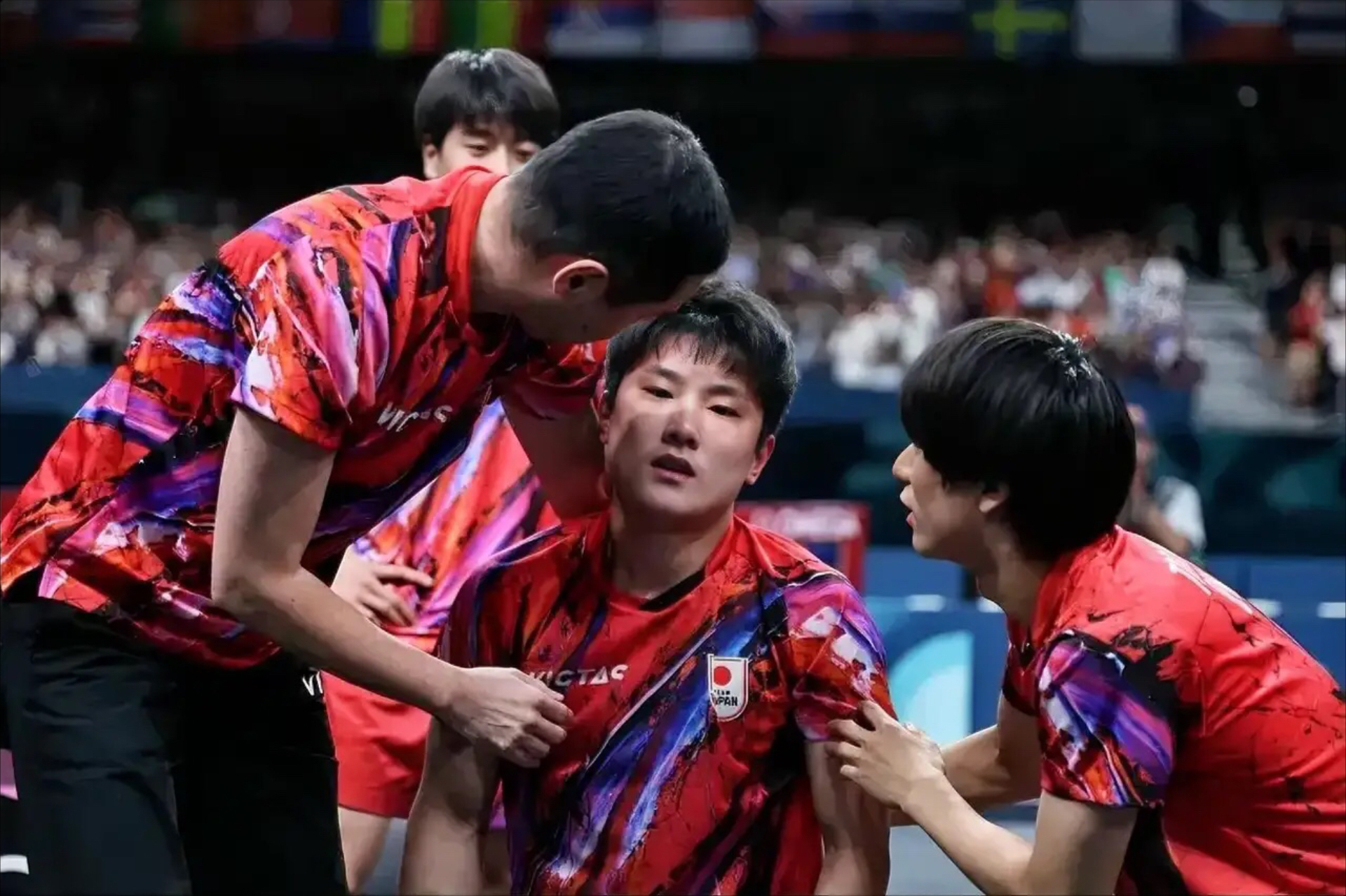 日本队横扫英格兰队，张本智和点燃赛场