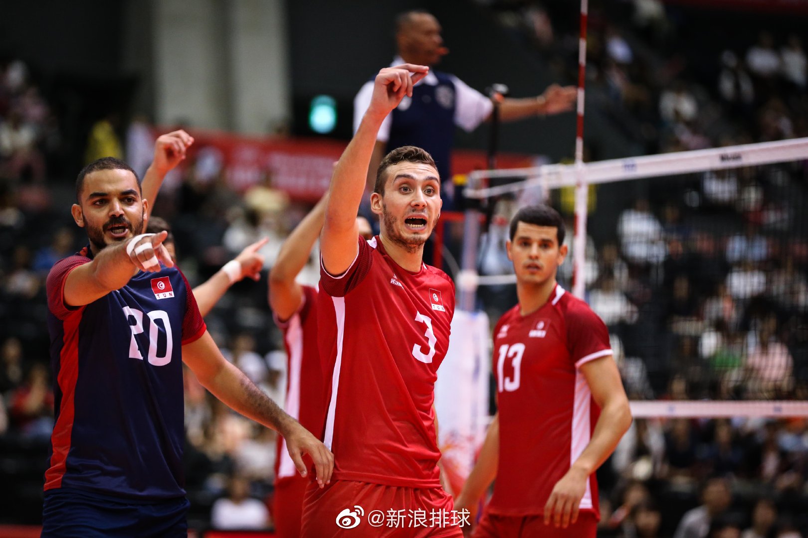 波兰队轻取英格兰队,王皓惊艳四座 波兰队轻取英格兰队,王皓惊艳四座